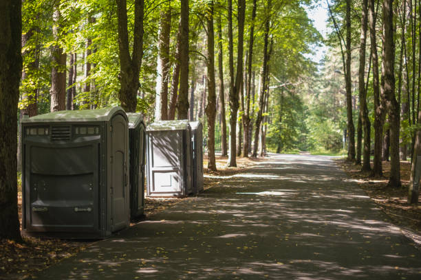 Best Affordable portable toilet rental  in Creve Coeur, IL